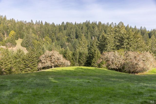 38555 Hauser Bridge Rd, Cazadero, CA 95421