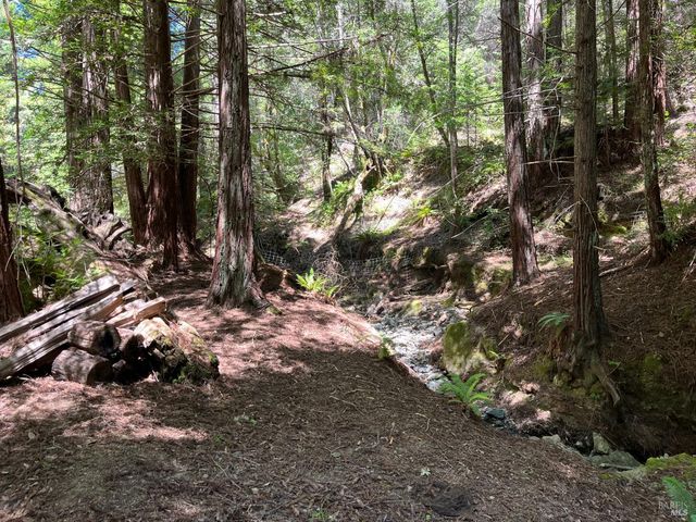 38555 Hauser Bridge Rd, Cazadero, CA 95421