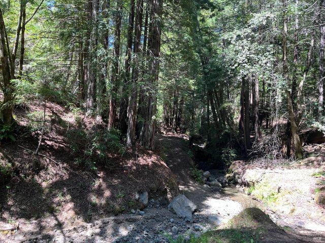 38555 Hauser Bridge Rd, Cazadero, CA 95421