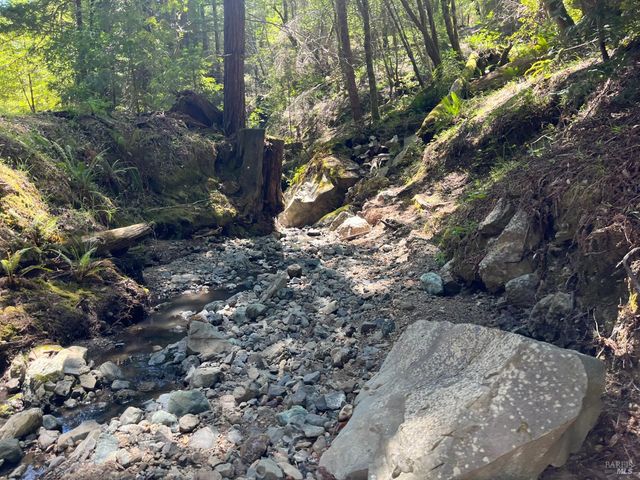 38555 Hauser Bridge Rd, Cazadero, CA 95421