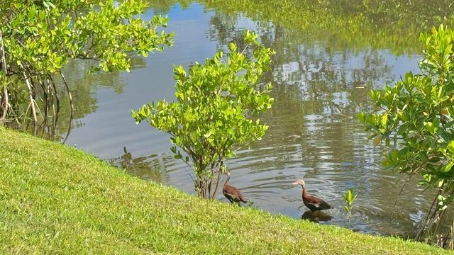 322 SW INDIAN GROVES Drive, Stuart, FL 34994