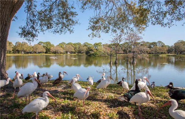 200 62ND STREET N, St Petersburg, FL 33710