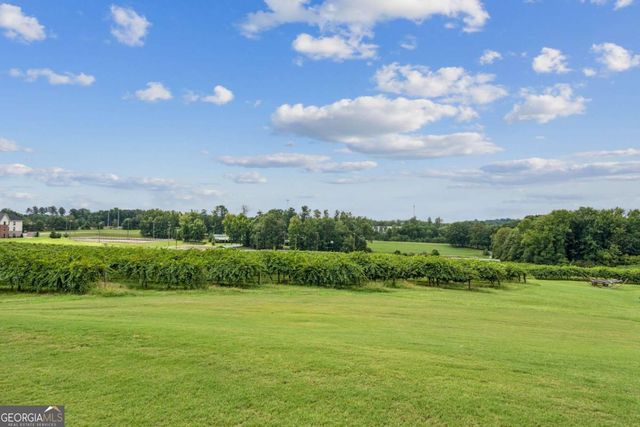 2230 Fleurie Lane, Braselton, GA 30517