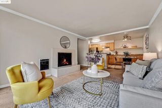 66 Fairmount Ave #316 316, Oakland, CA 94611