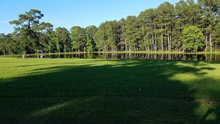 - N Lincoln Wiggins Street, Livingston, TX 77351