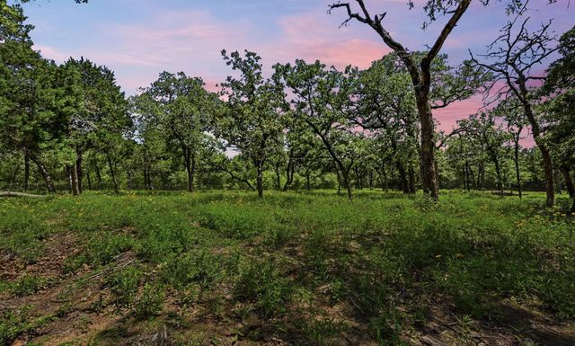 387 Corral RD, Smithville, TX 78957