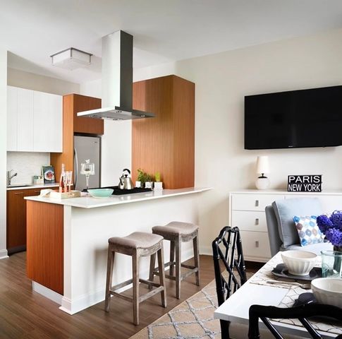 500 N Lake Shore Drive 1012, Chicago, IL 60611