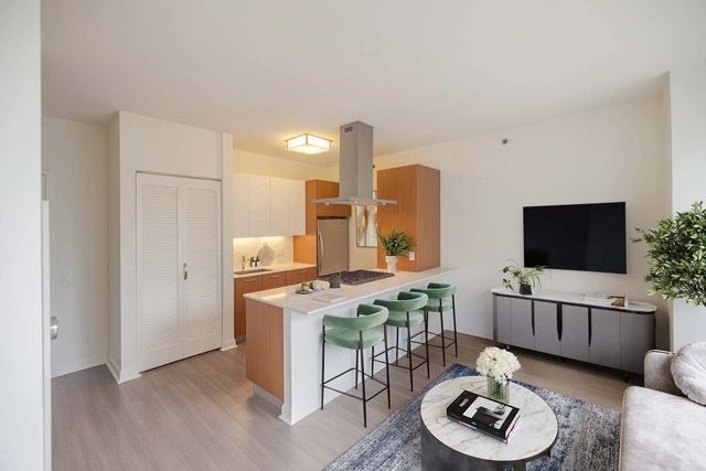 500 N Lake Shore Drive 1012, Chicago, IL 60611