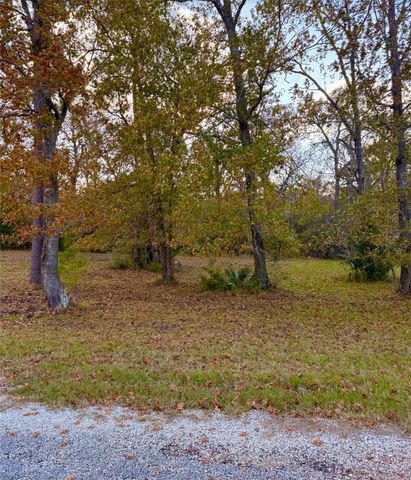 187 N Forest Drive, Huntsville, TX 77340