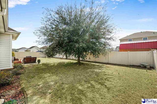 1216 Barn Owl Rd, Effingham, SC 29541