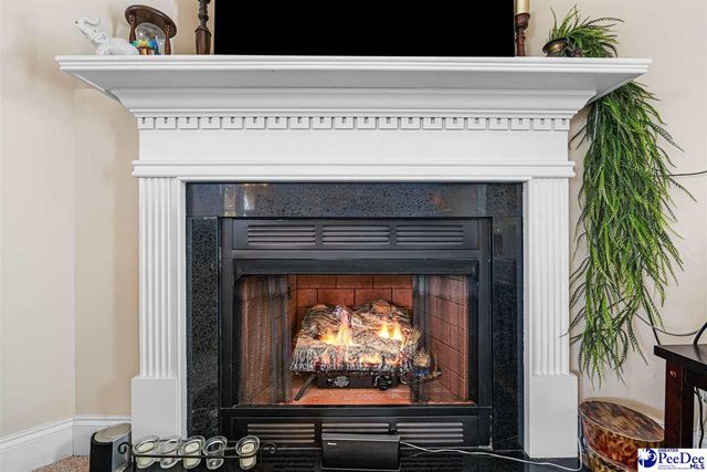 1216 Barn Owl Rd, Effingham, SC 29541