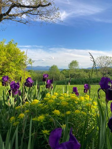 26 Carter Road, Johnson, VT 05656