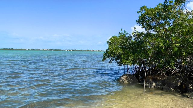 813 2Nd Street, Big Coppitt, FL 33040