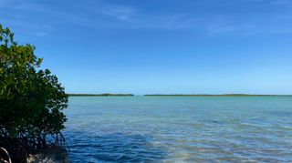 813 2Nd Street, Big Coppitt, FL 33040