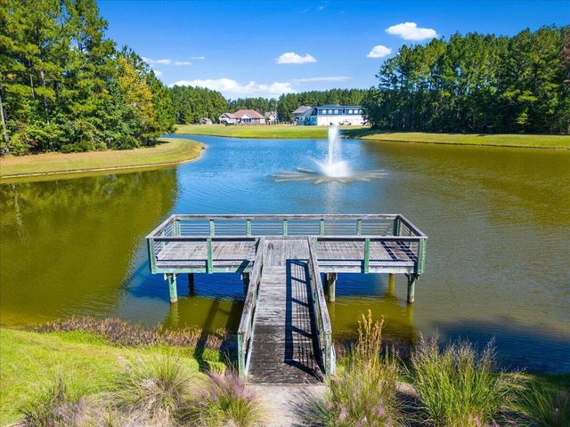 1200 Jump Seed Court Court, Moncks Corner, SC 29461