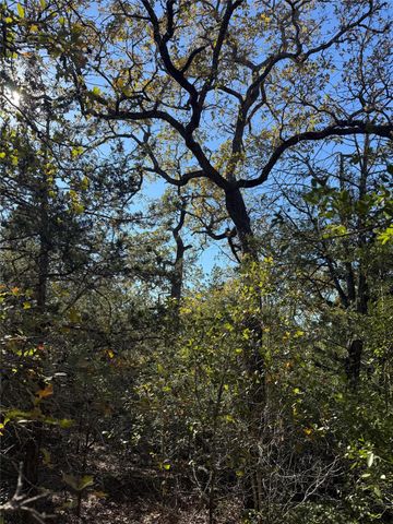 TBD Leisure LN, Cedar Creek, TX 78612