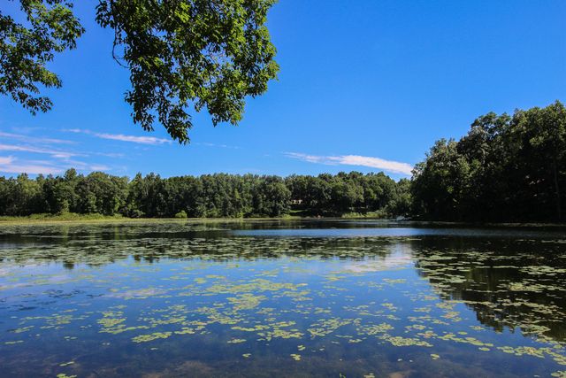 60061 Shafer Brothers Road, Fabius Twp, MI 49093