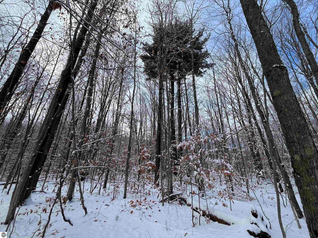 Image 10 of property listing at Big Four Road, Bear Lake, MI 49614