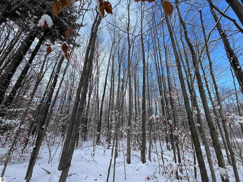 Image 11 of property listing at Big Four Road, Bear Lake, MI 49614