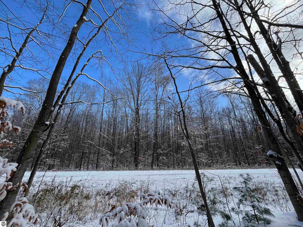 Image 12 of property listing at Big Four Road, Bear Lake, MI 49614