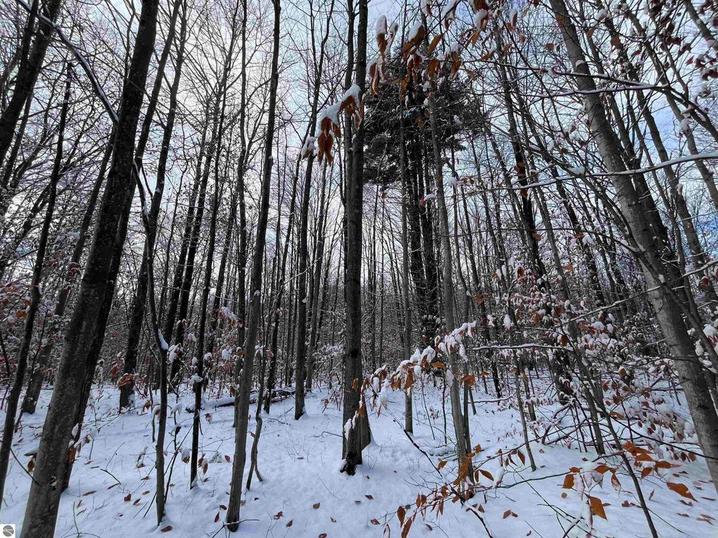 Image 13 of property listing at Big Four Road, Bear Lake, MI 49614