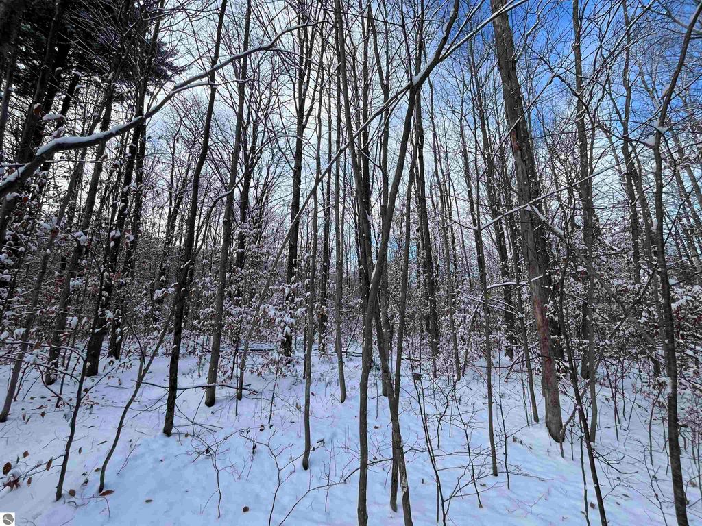 Image 14 of property listing at Big Four Road, Bear Lake, MI 49614