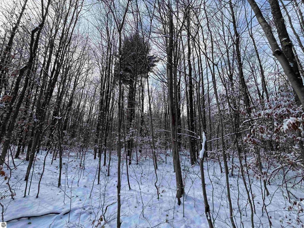 Image 15 of property listing at Big Four Road, Bear Lake, MI 49614