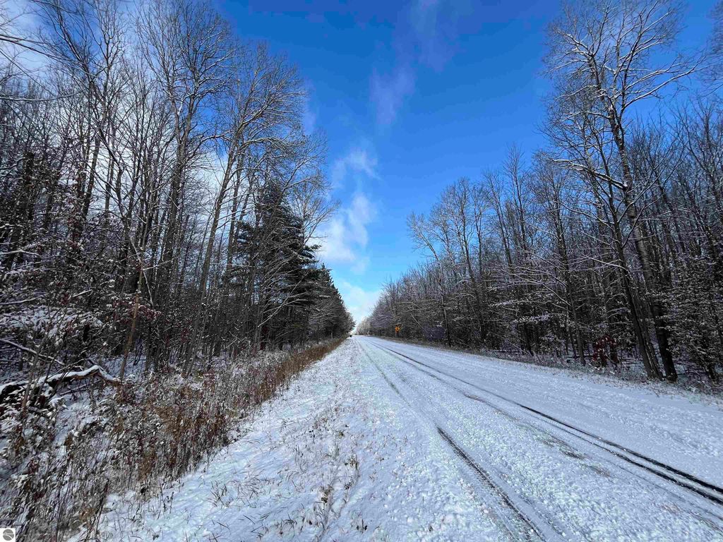 Image 16 of property listing at Big Four Road, Bear Lake, MI 49614