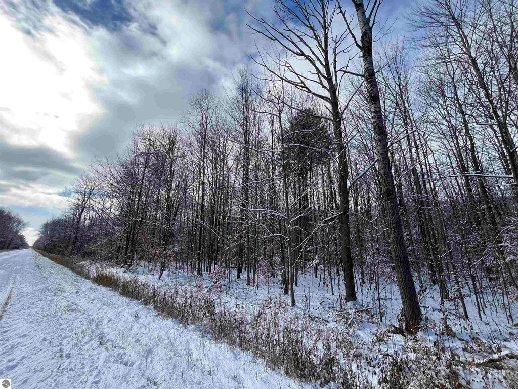 Image 17 of property listing at Big Four Road, Bear Lake, MI 49614