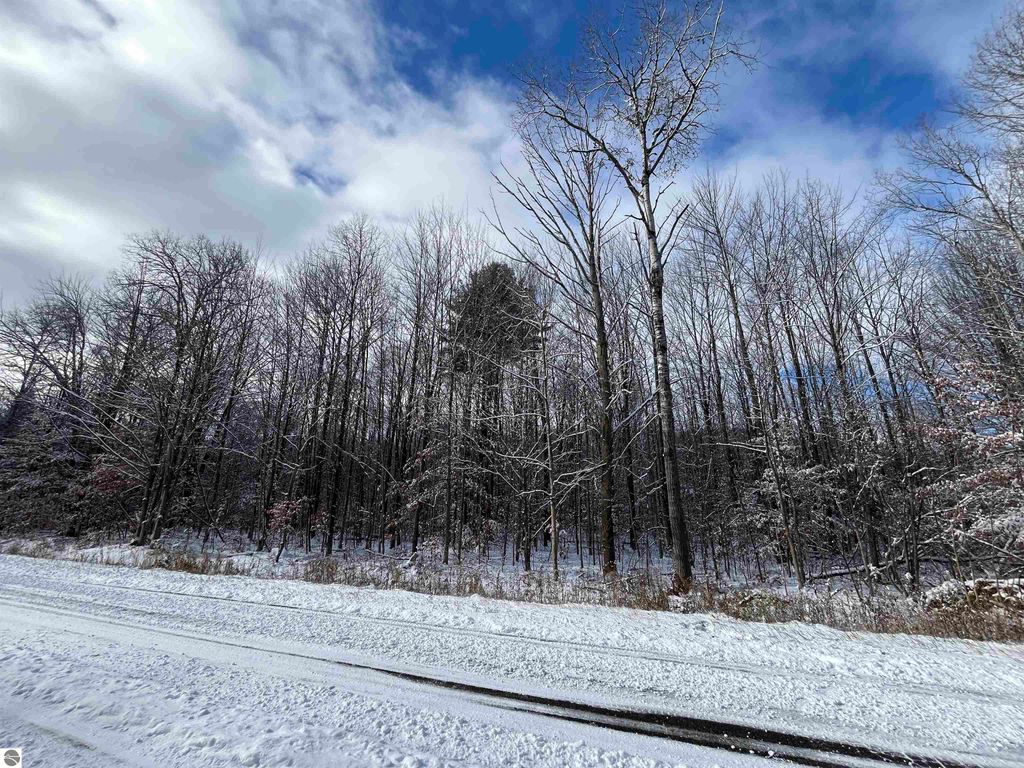 Image 18 of property listing at Big Four Road, Bear Lake, MI 49614