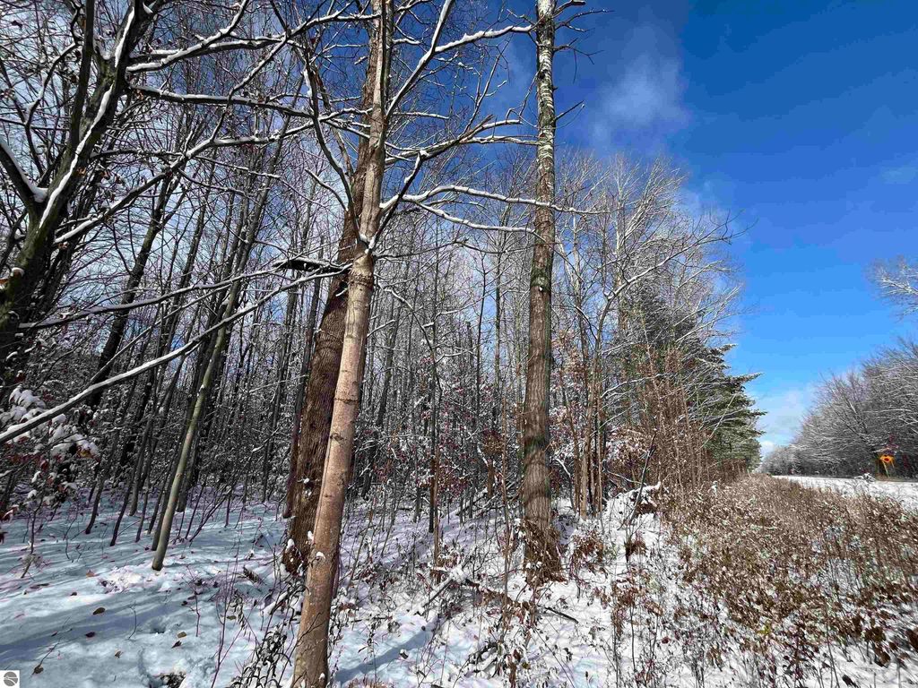 Image 19 of property listing at Big Four Road, Bear Lake, MI 49614