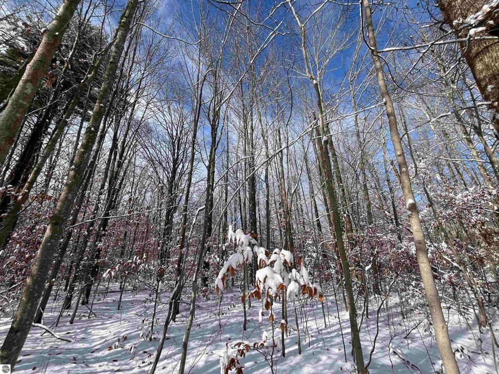 Image 20 of property listing at Big Four Road, Bear Lake, MI 49614