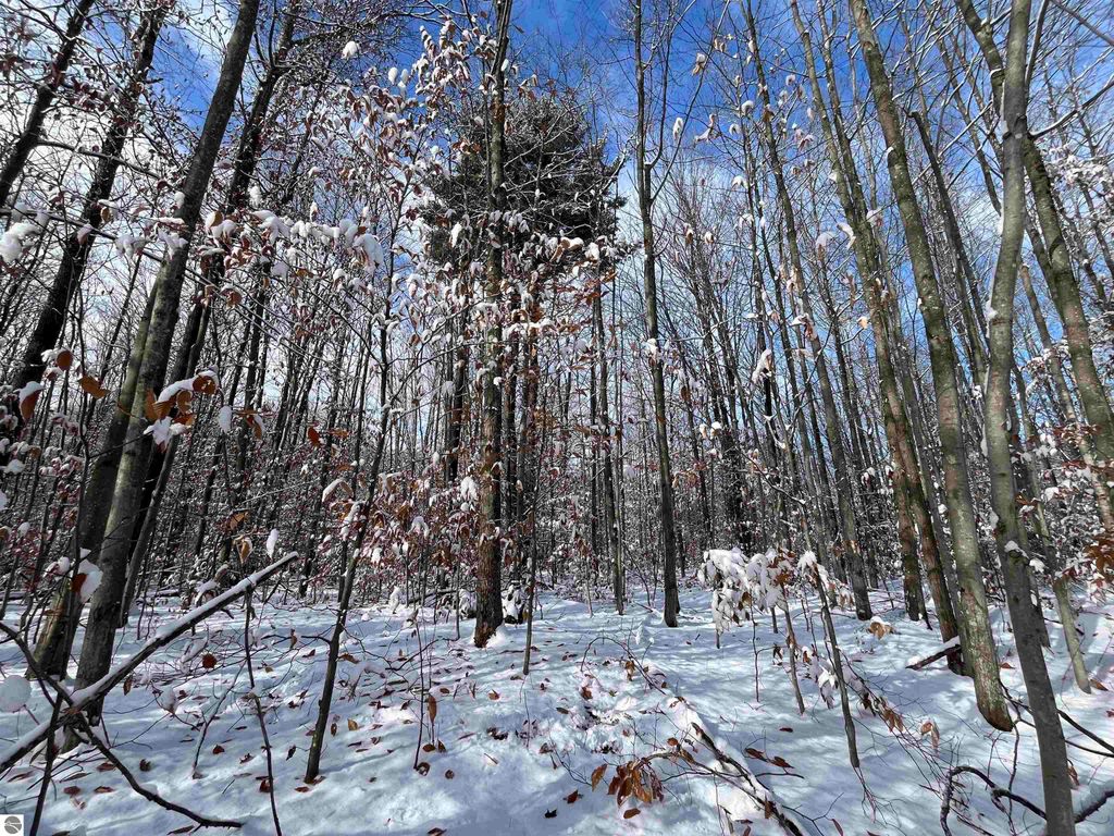 Image 21 of property listing at Big Four Road, Bear Lake, MI 49614