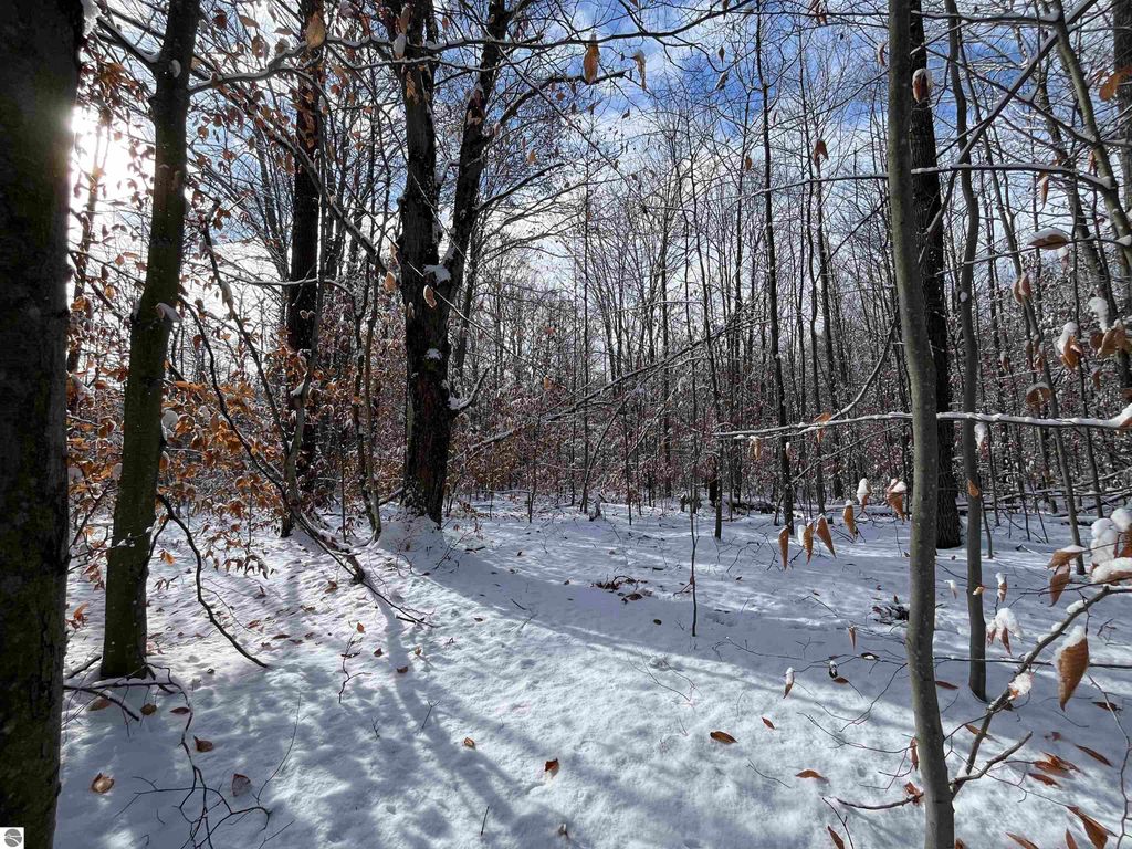 Image 22 of property listing at Big Four Road, Bear Lake, MI 49614