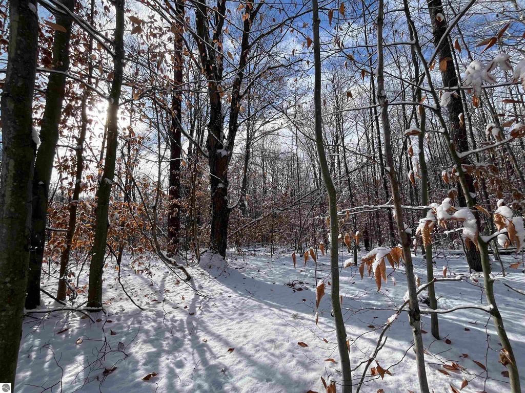 Image 23 of property listing at Big Four Road, Bear Lake, MI 49614