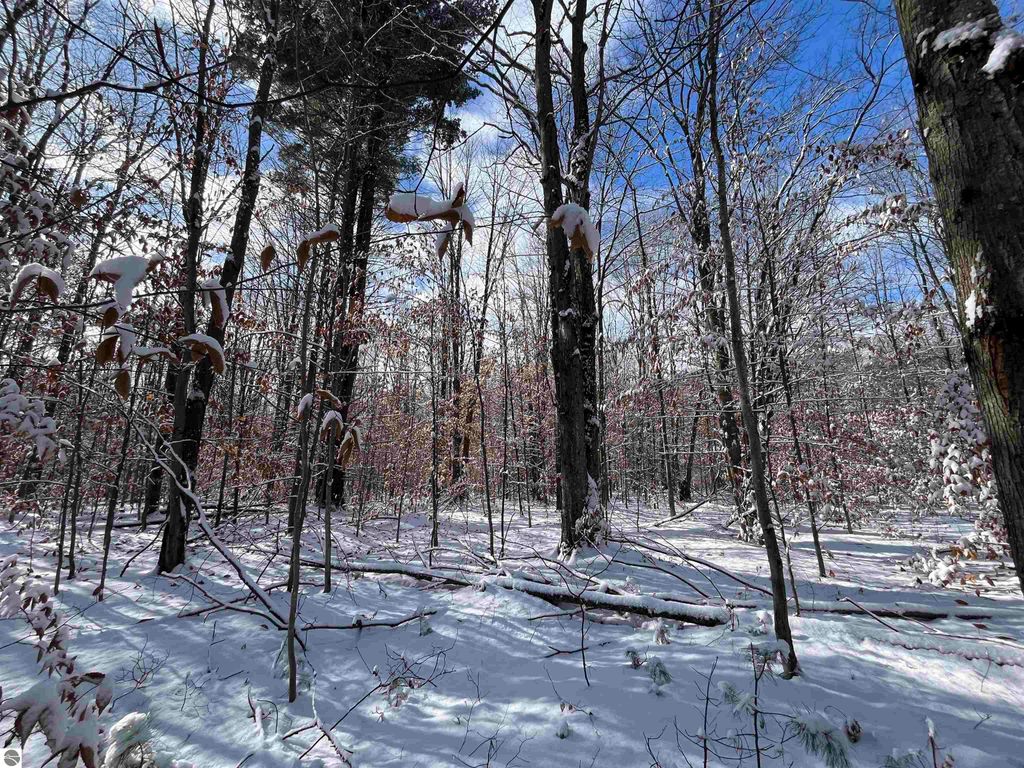 Image 24 of property listing at Big Four Road, Bear Lake, MI 49614