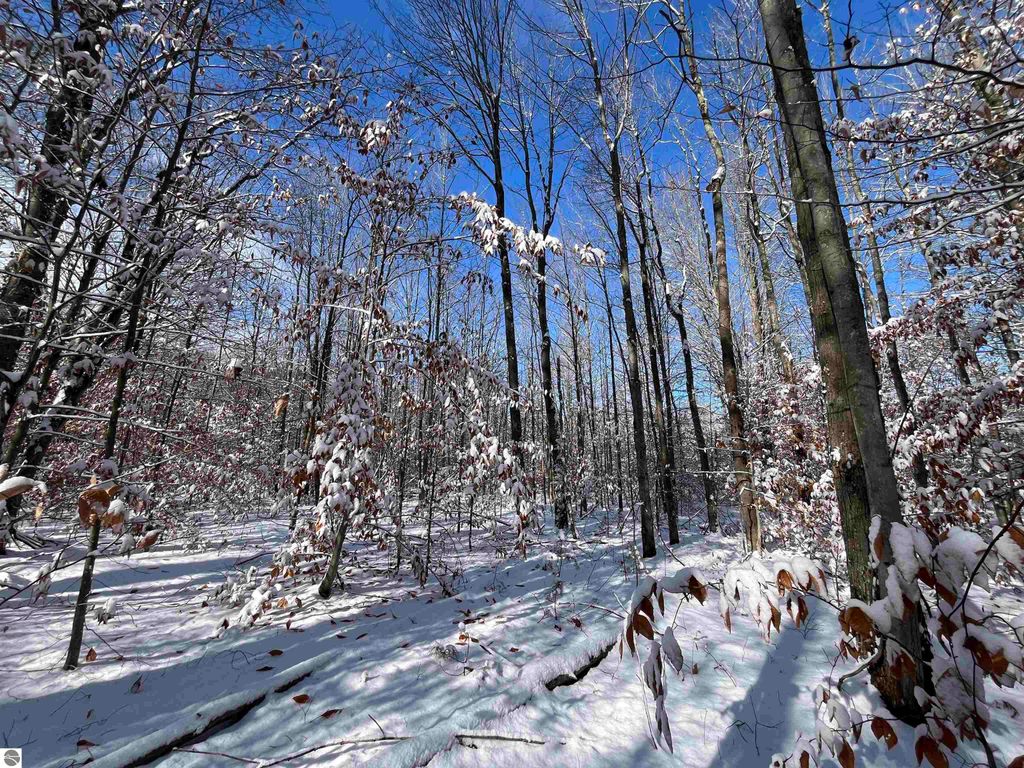 Image 25 of property listing at Big Four Road, Bear Lake, MI 49614