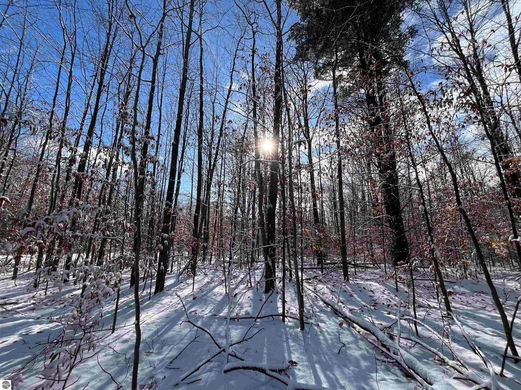 Image 26 of property listing at Big Four Road, Bear Lake, MI 49614