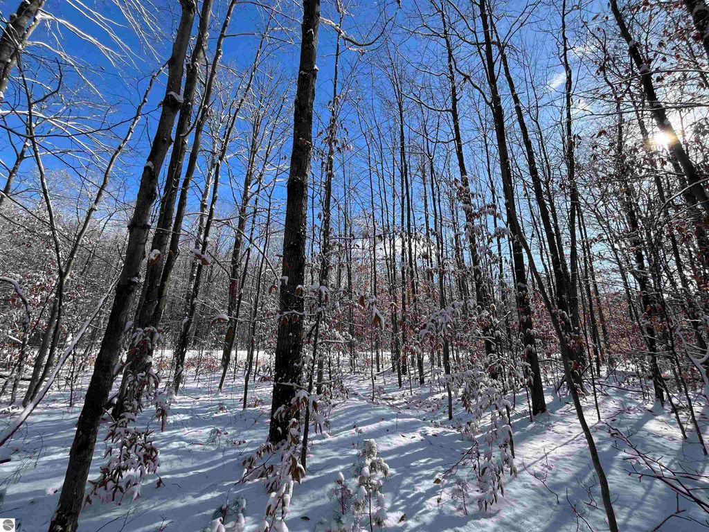 Image 27 of property listing at Big Four Road, Bear Lake, MI 49614