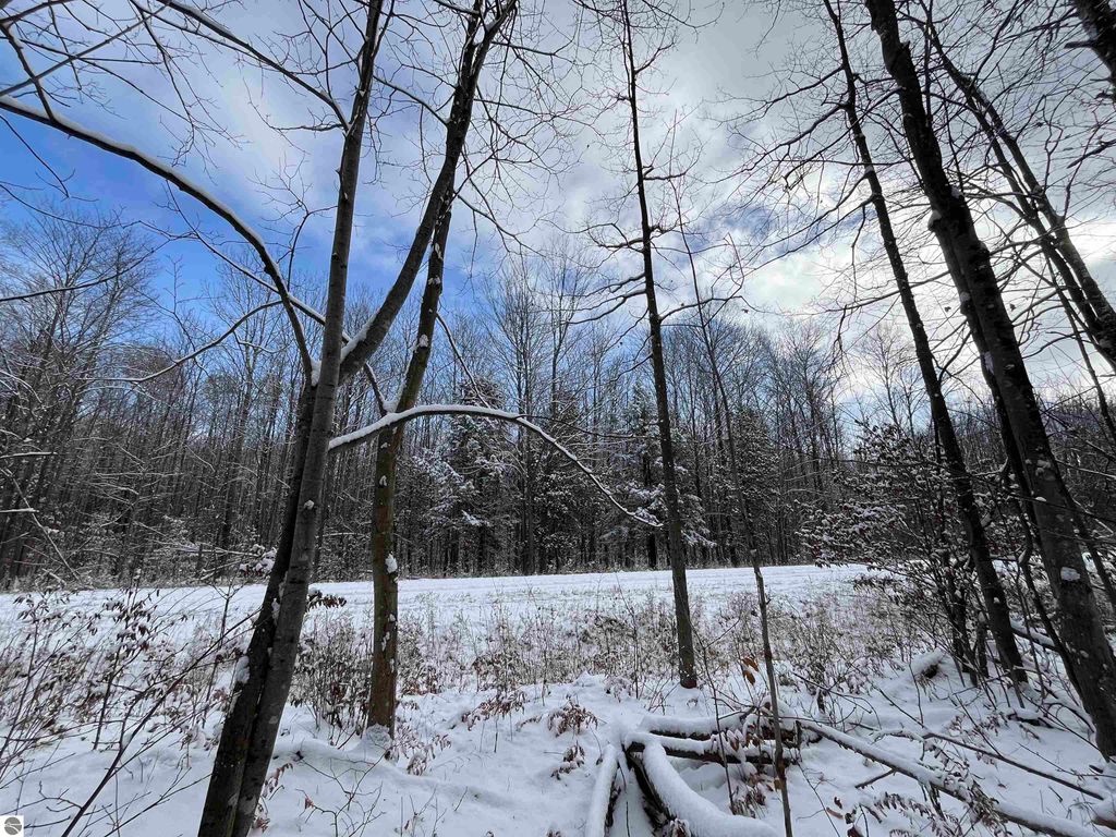 Image 4 of property listing at Big Four Road, Bear Lake, MI 49614