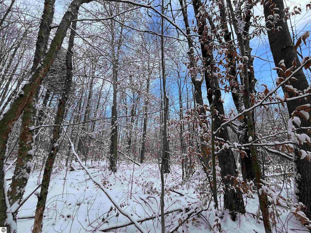 Image 5 of property listing at Big Four Road, Bear Lake, MI 49614