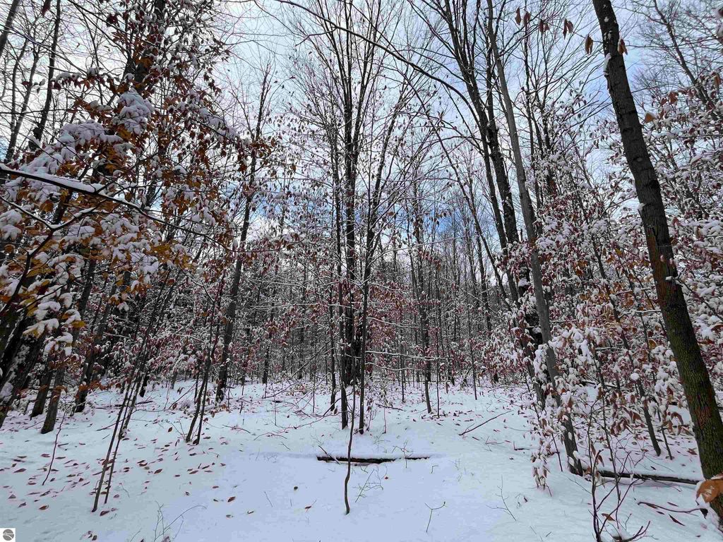 Image 6 of property listing at Big Four Road, Bear Lake, MI 49614