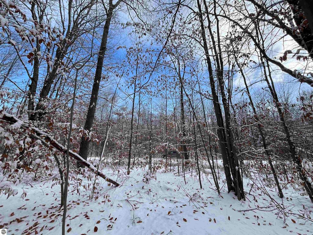 Image 7 of property listing at Big Four Road, Bear Lake, MI 49614