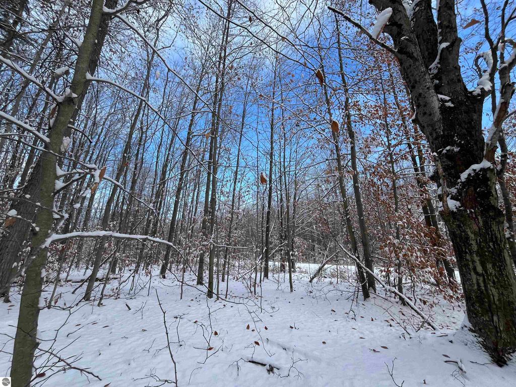 Image 8 of property listing at Big Four Road, Bear Lake, MI 49614