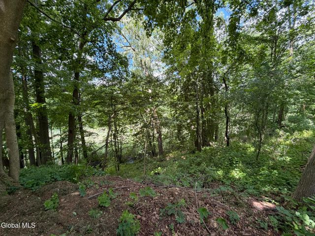 34 Hamilton Street, Guilderland, NY 12084