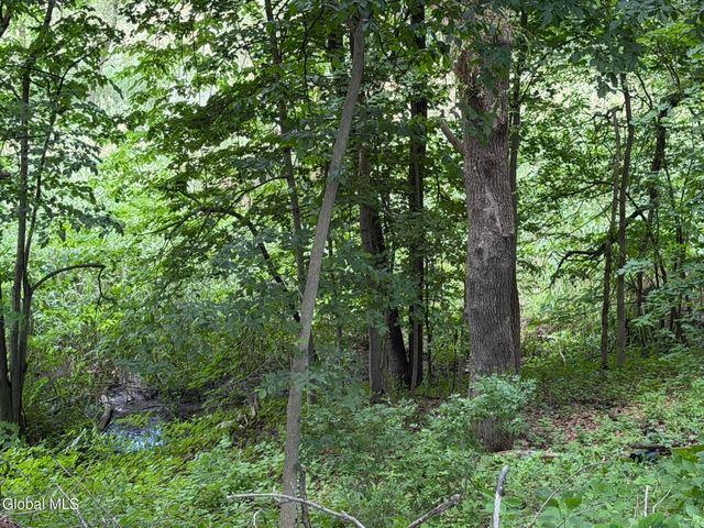 34 Hamilton Street, Guilderland, NY 12084