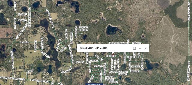 SE 92 PLACE, Ocklawaha, FL 32179