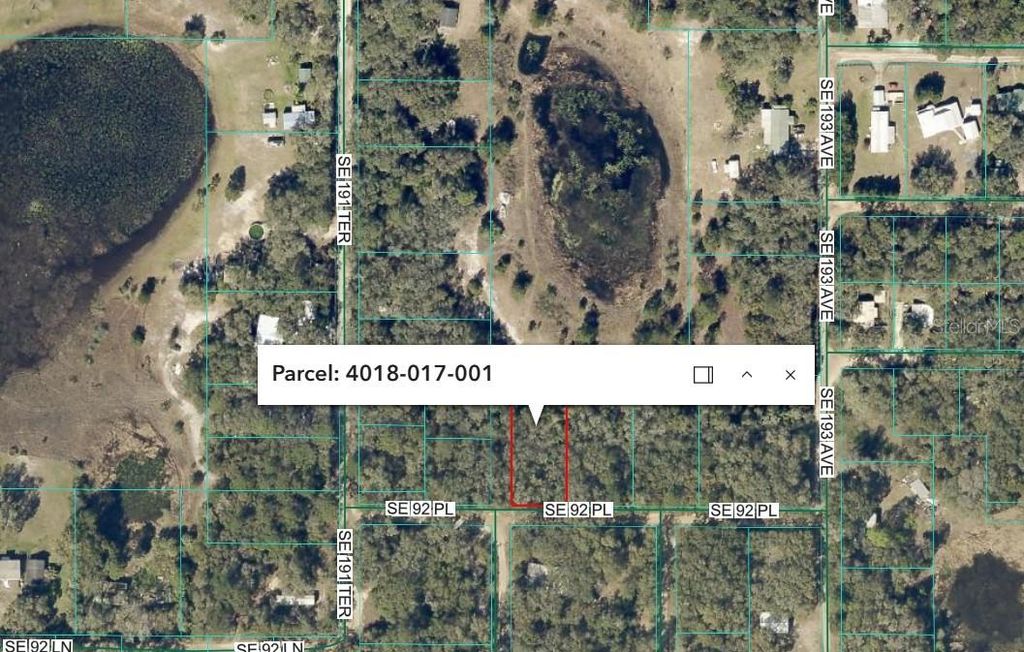 SE 92 PLACE, Ocklawaha, FL 32179