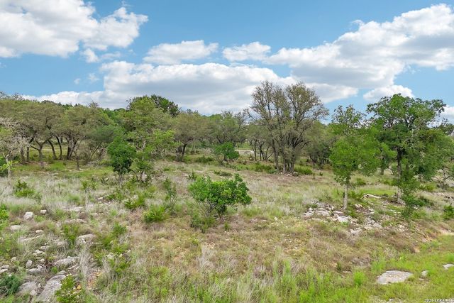 964 WAGON WHEEL DR, Spring Branch, TX 78070