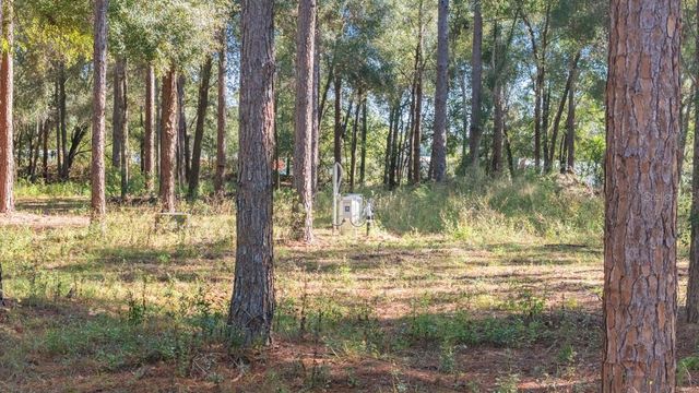 24250 DEEP SPRINGS LOOP, Eustis, FL 32736